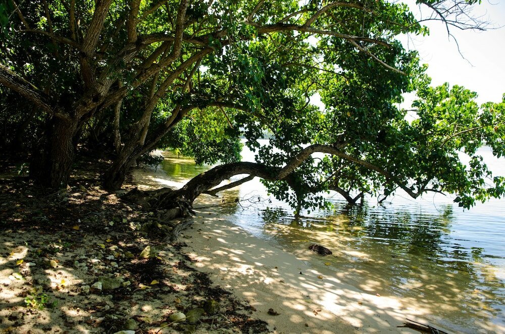 Фото Seas the Day Sanctuary