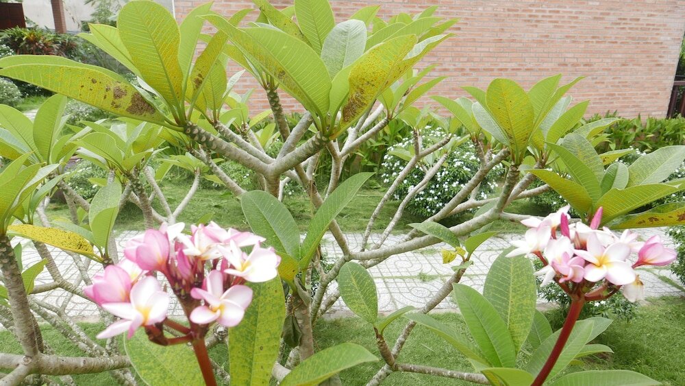 Фото Rum Bungalow Resort Phu Quoc