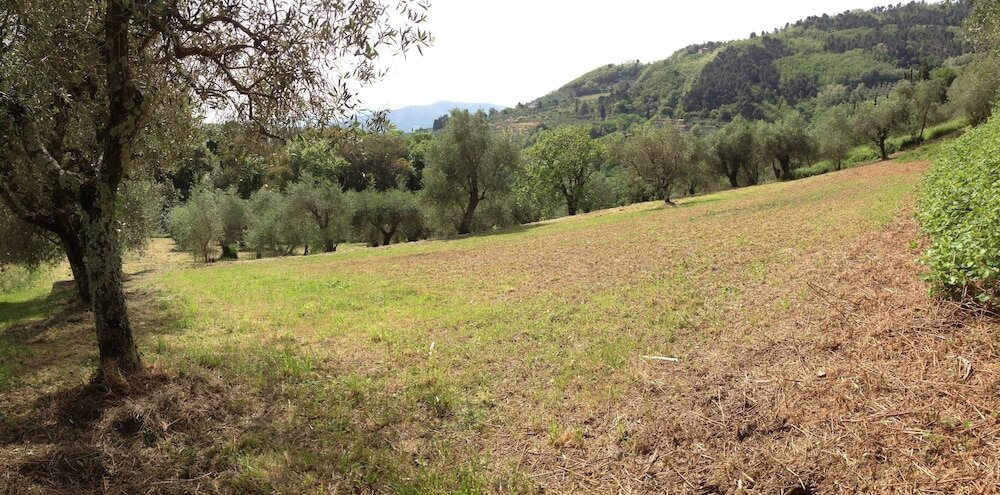 Фото Loggia del Centone