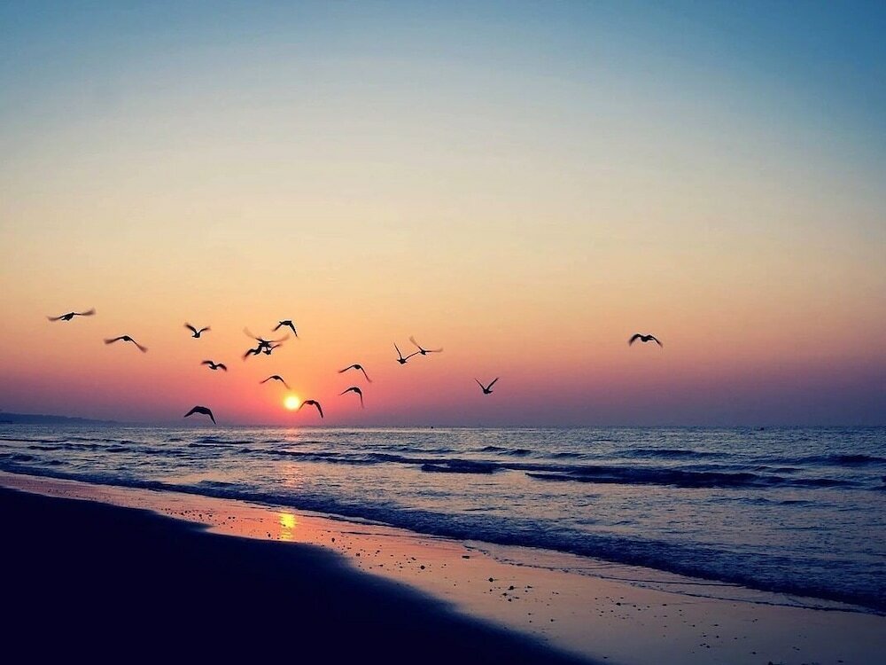 Фото Villa Verde La Rochelle