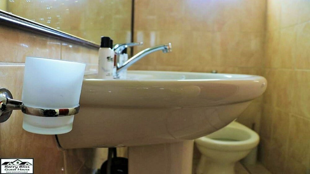 Фото Berry Bliss Guest House