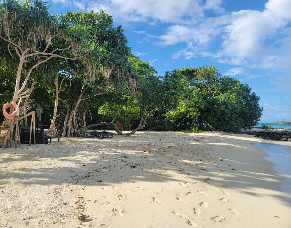 Фото Palm Residence