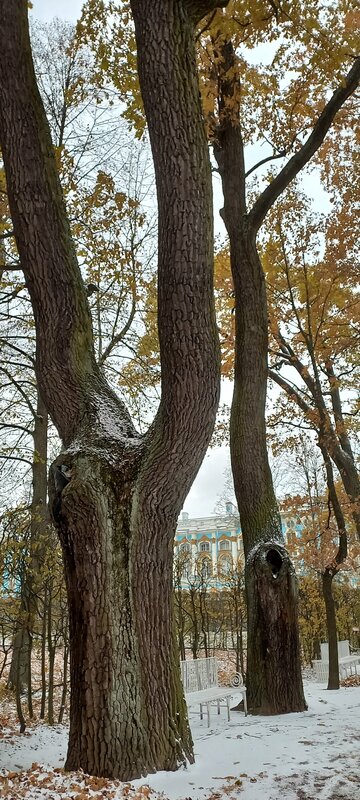 Мельничный Ручей — фото 48