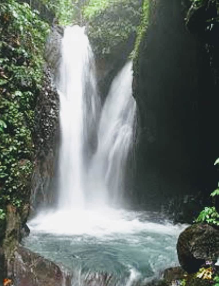 Фото Bali Paradise Hotel Boutique Resort