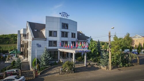 Гостиница Silver Hotel Conference and SPA в Орадя