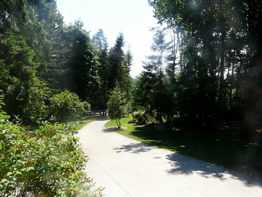 Фото Maple View Bed and Breakfast