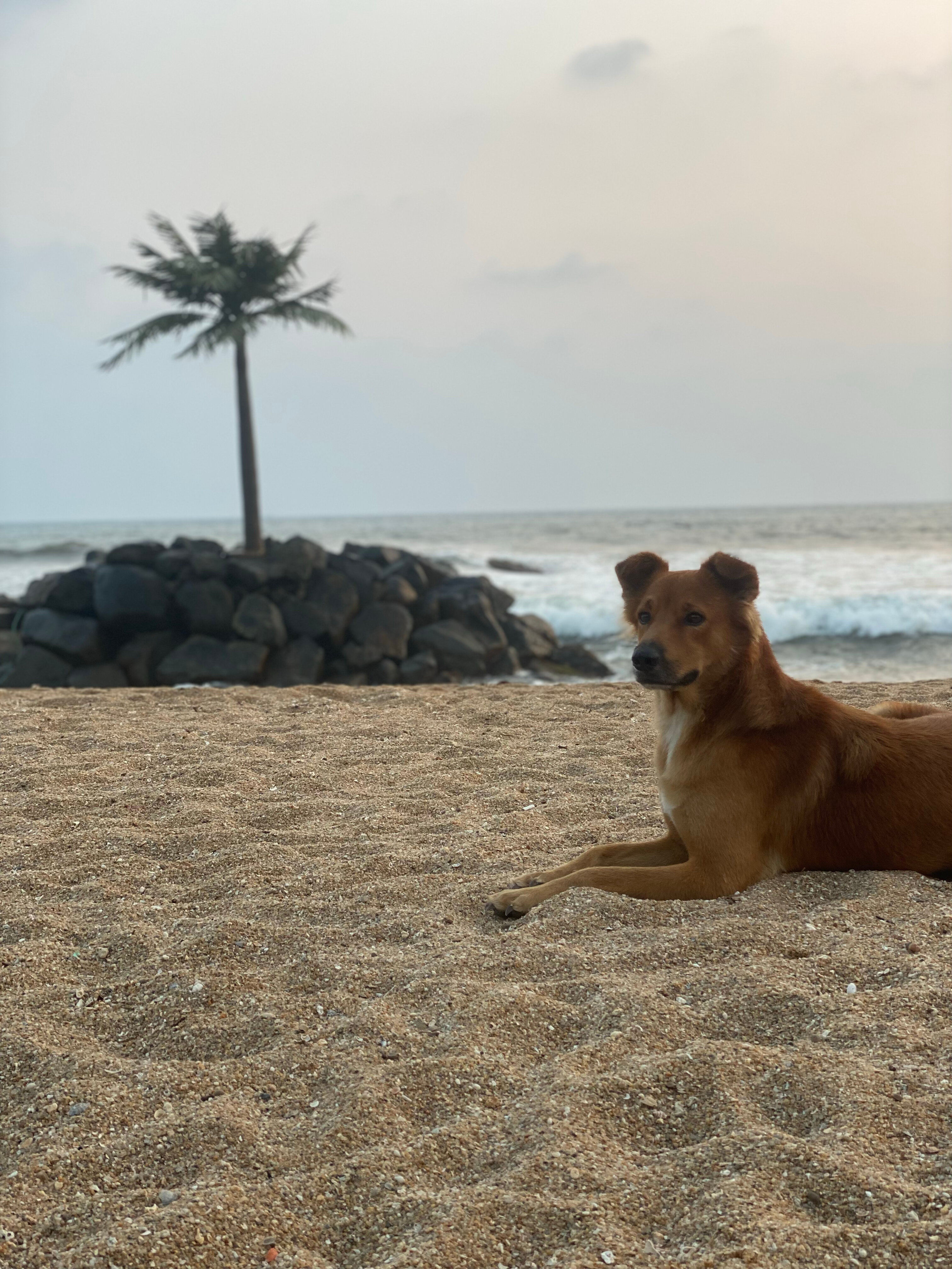 Фото Radisson Blu Resort Galle