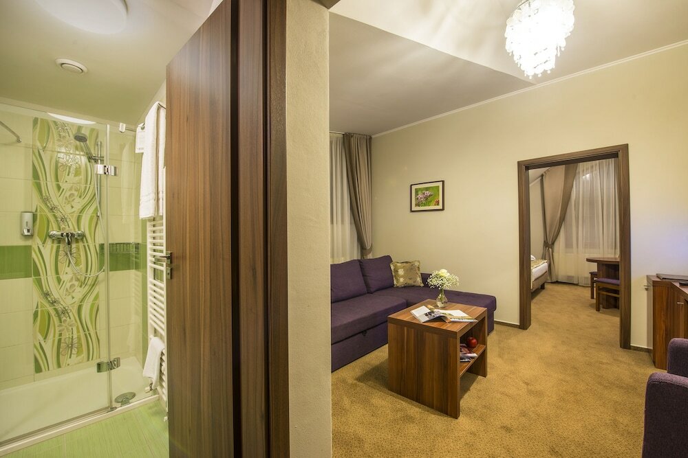 Фото Wellness hotel Spark