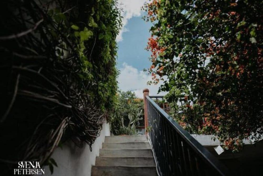 Фото Yellow House - Hostel