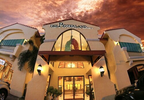 Гостиница The Pepperland Hotel в Легаспи