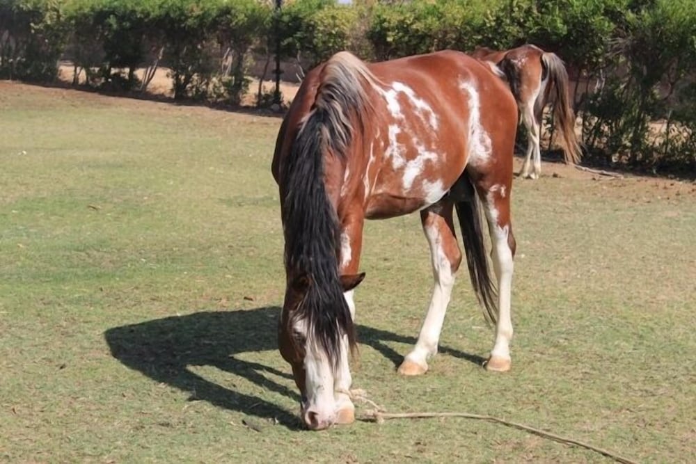 Фото Six Corners Resort