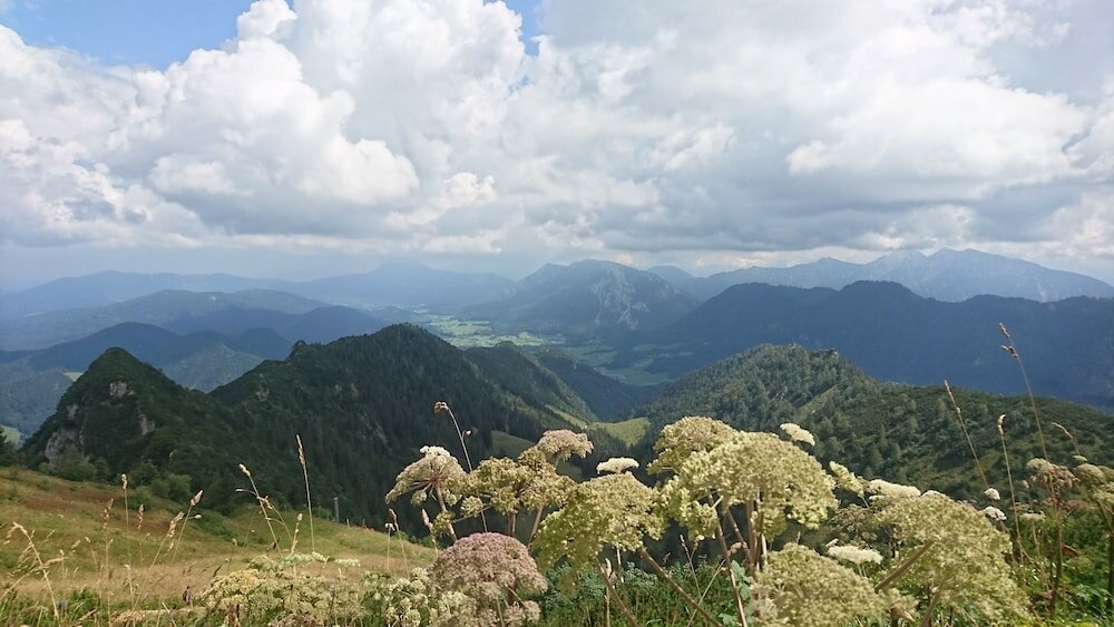 Фото Hotel Garni Forsthaus