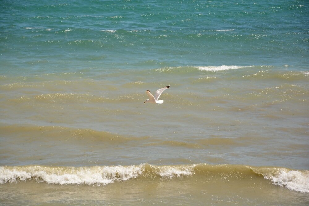 Фото Andalusia Beach