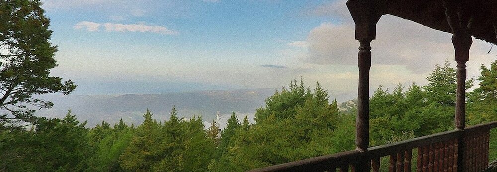 Фото Elafos Hotel