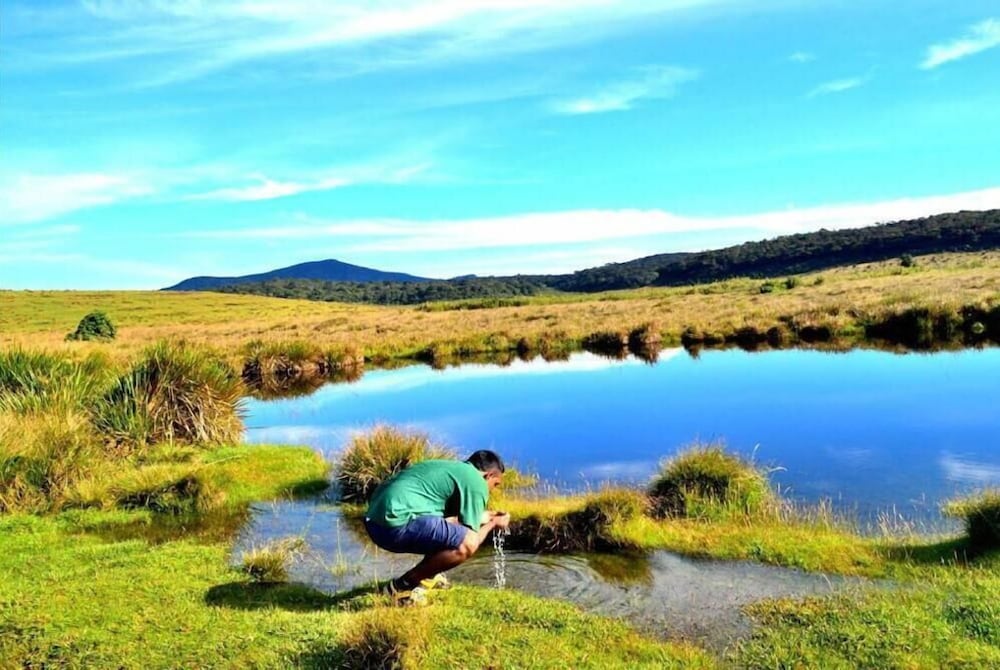 Фото Mirage Kings Cottage