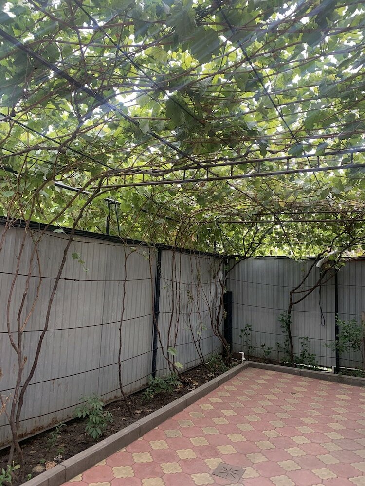 Фото Алладин