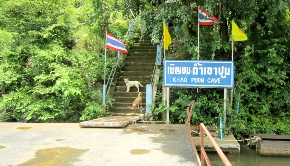 Фото My Home Guest House