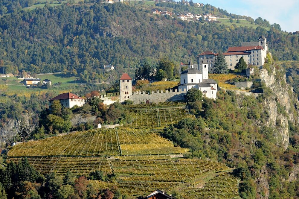 Фото Sonnenhotel Adler