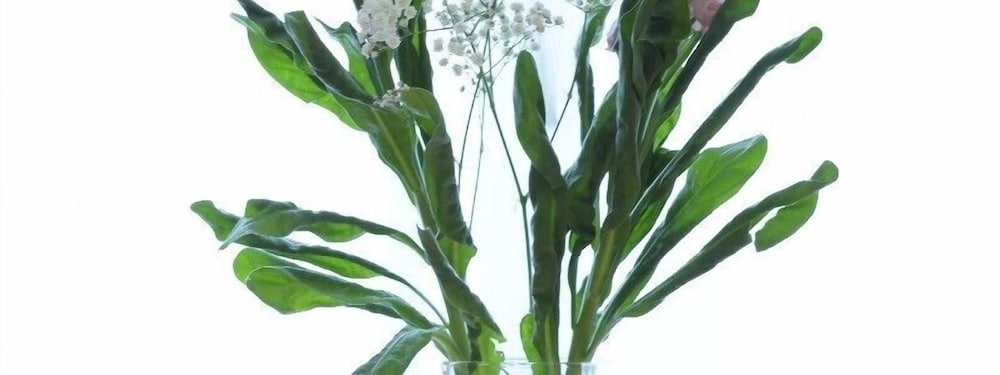 Фото Stable Oak Cottages