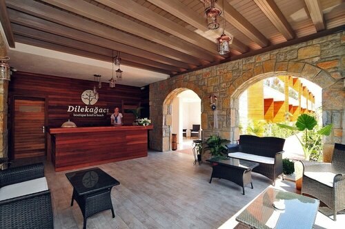 Гостиница Dilekagaci Boutique Hotel & Beach в Бодруме