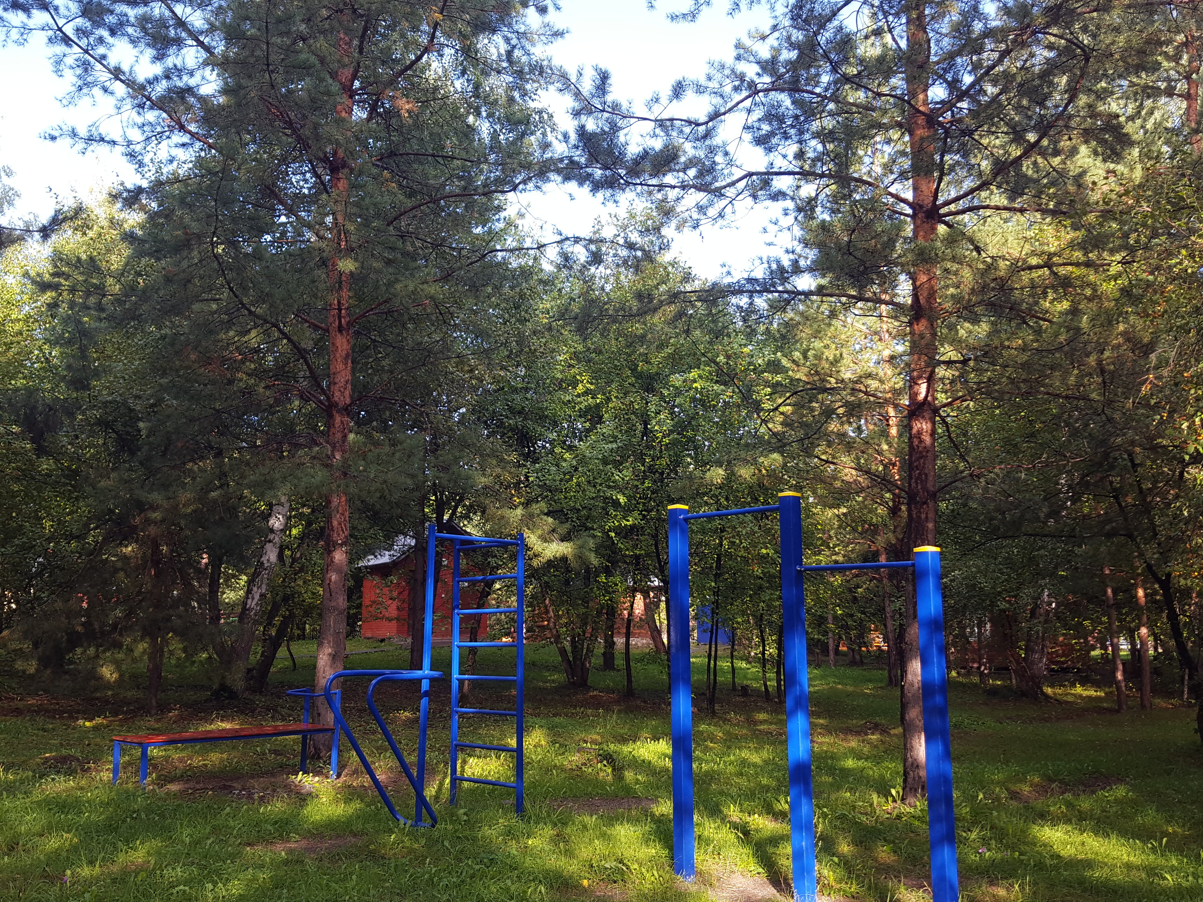 Фото Летний сад