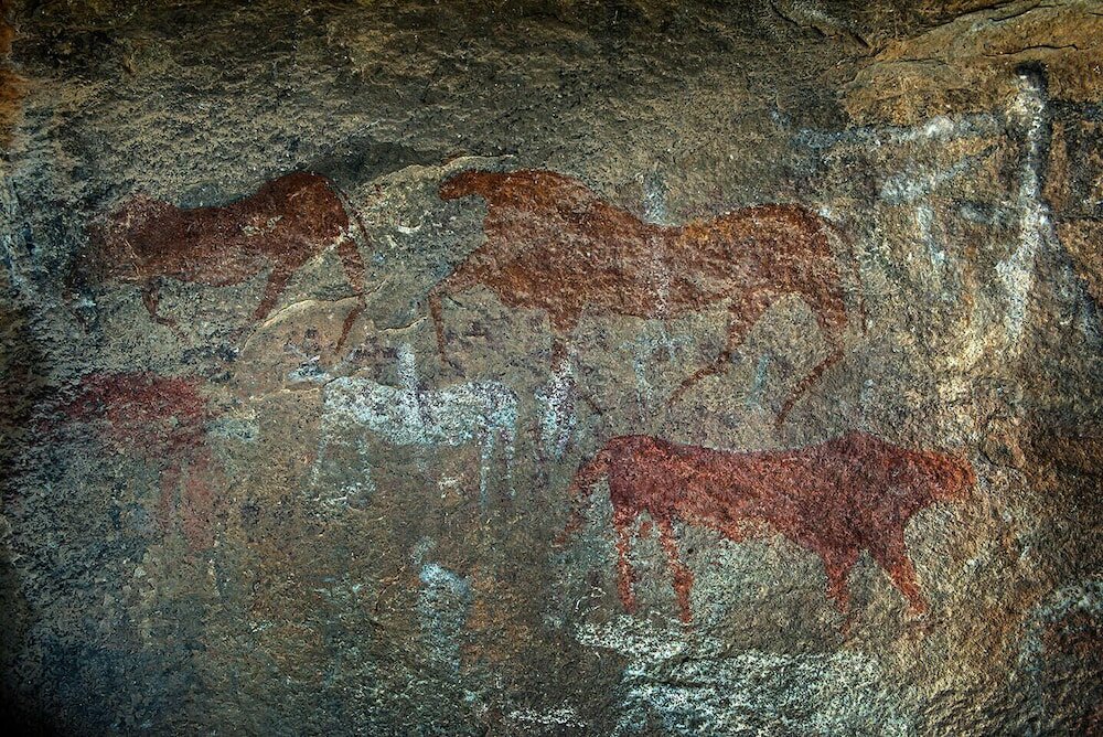 Фото Ganora Guestfarm & Excursions