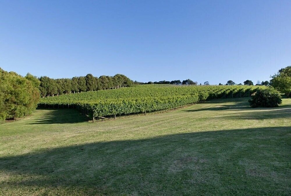 Фото Limetree Hideaway