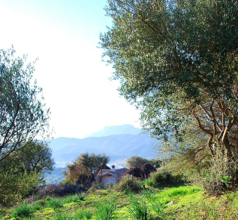 Фото Essenza Sardegna