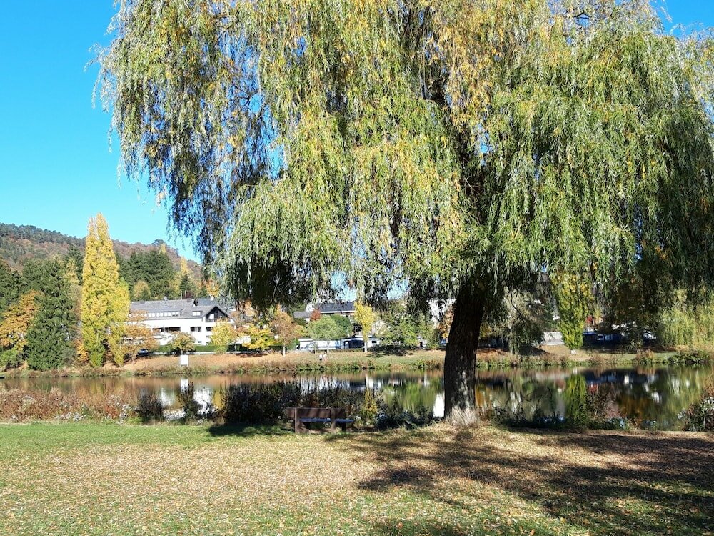 Фото Landgasthof Ralinger Hof