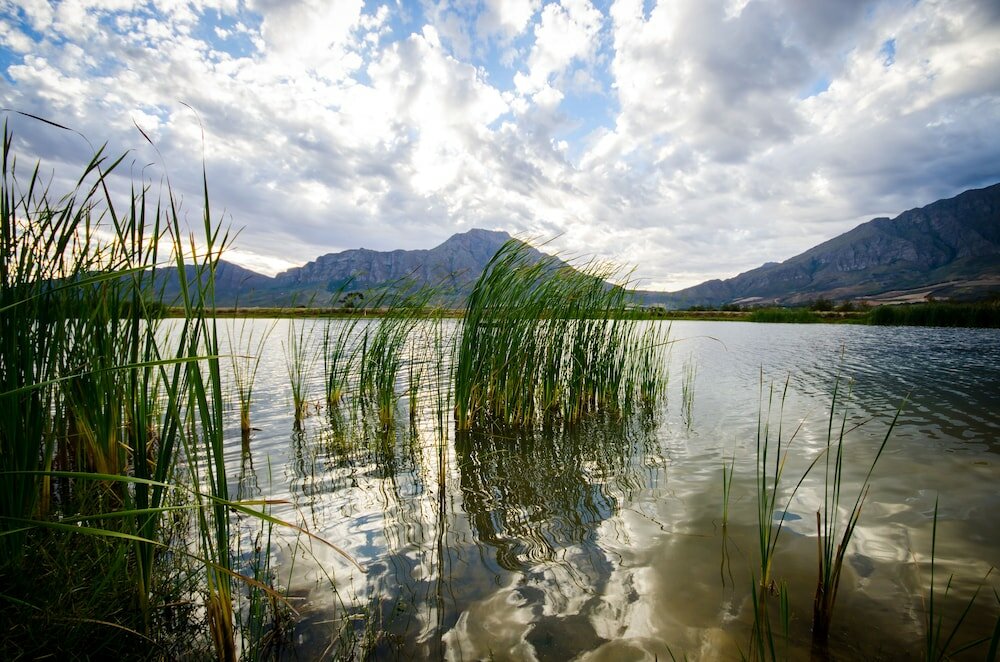 Фото Reflections Guest Farm