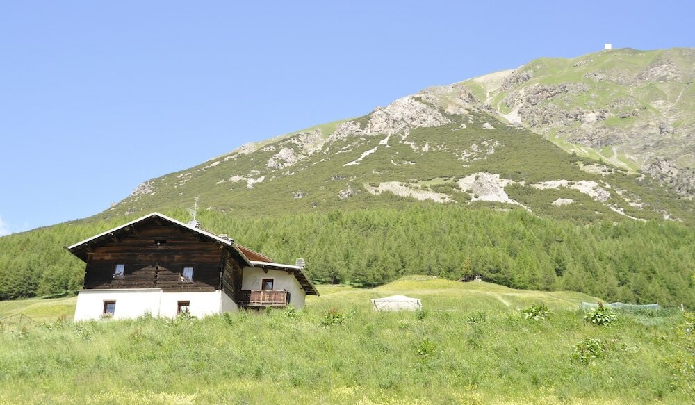 Фото Appartamenti Green