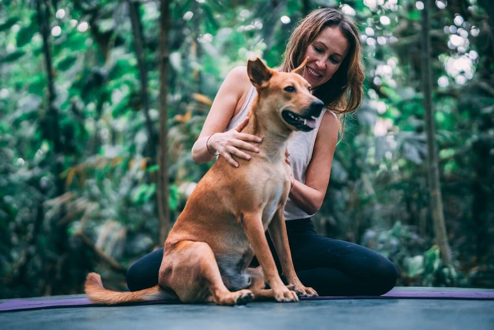 Фото Surf & Yoga Mirissa