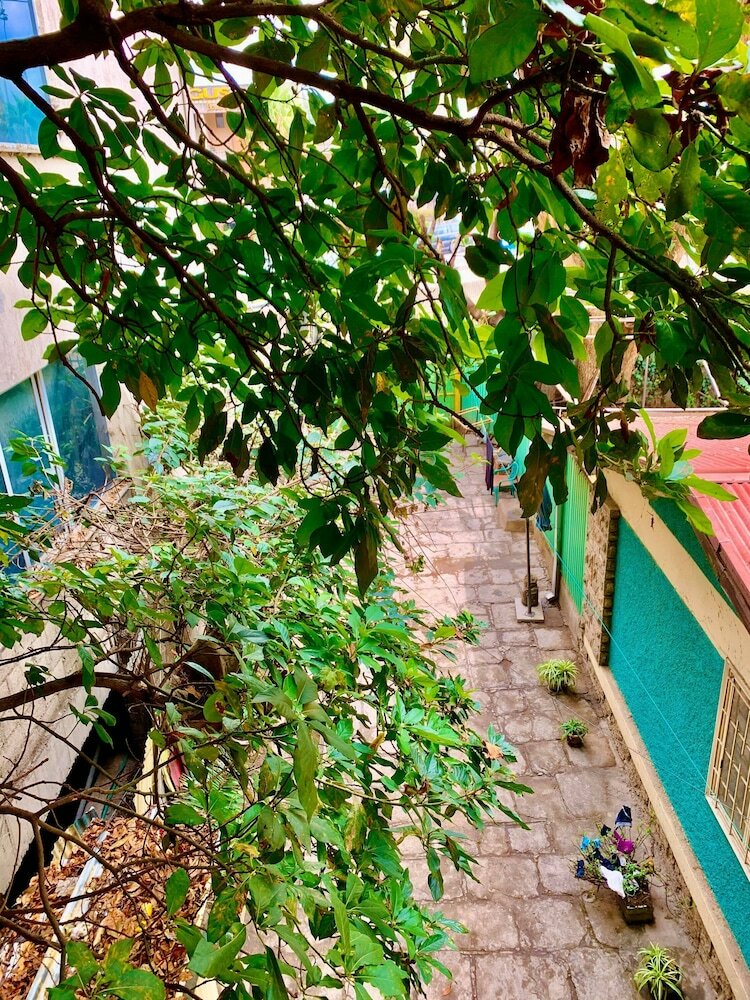 Фото Family Cozy Bed & Breakfast