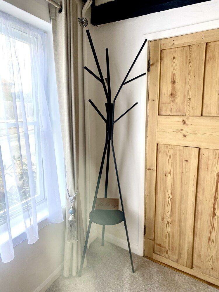 Фото Chestnut Tree