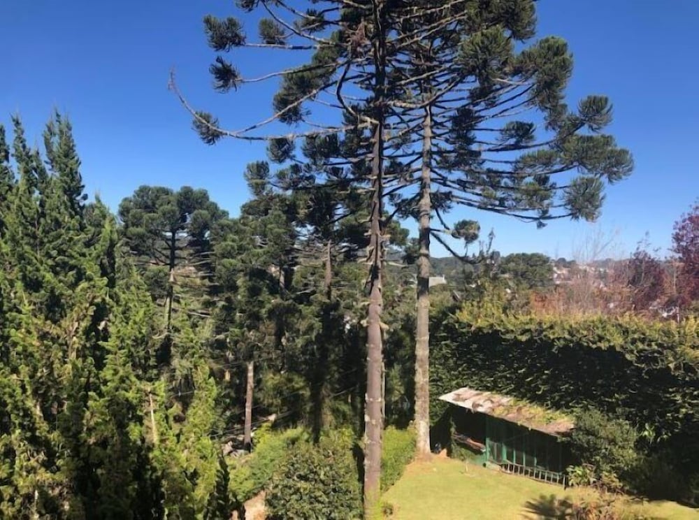 Фото Vila Dal Maso