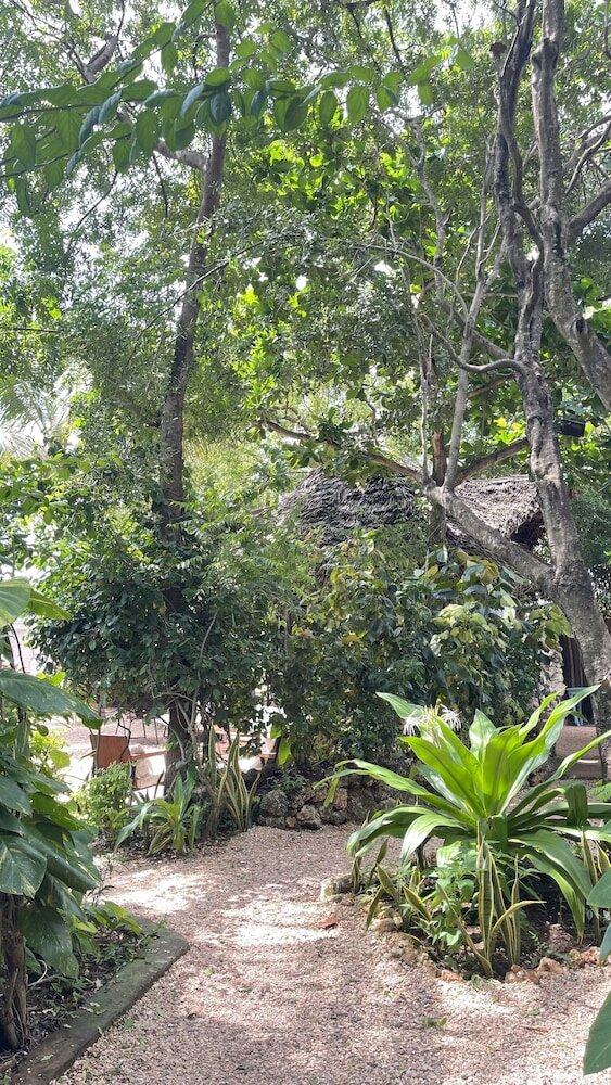 Фото Atii Garden Bungalows