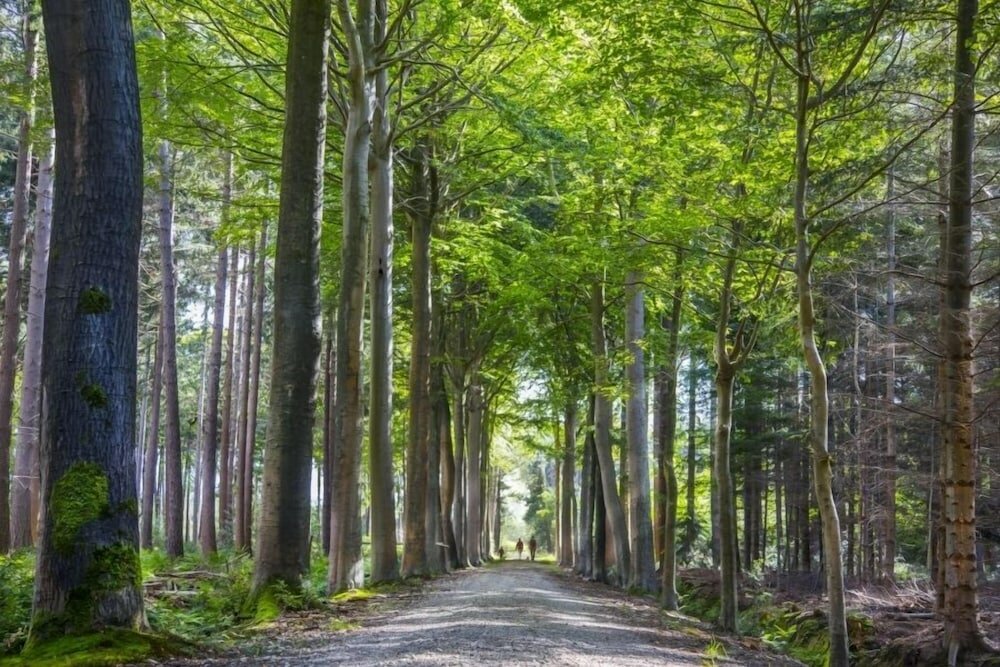 Фото Holiday Park Klein Strand