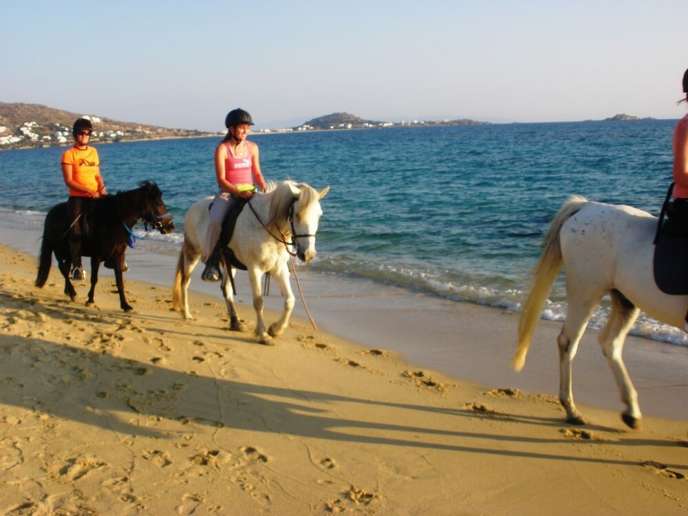 Фото Blue Harmony Apartments