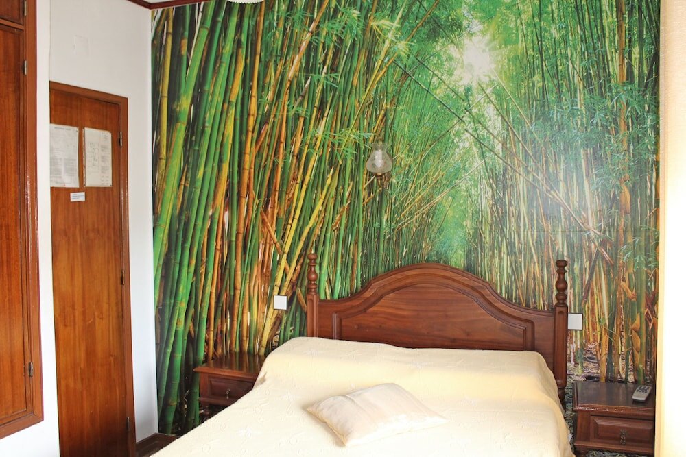 Фото Pensão França