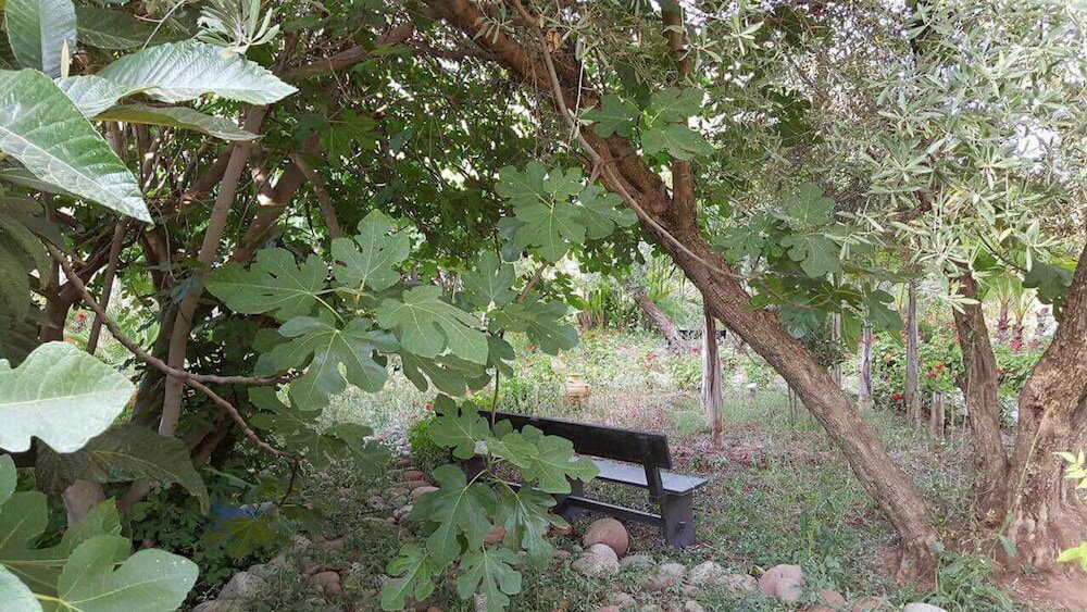 Фото Riad Clé De Sol