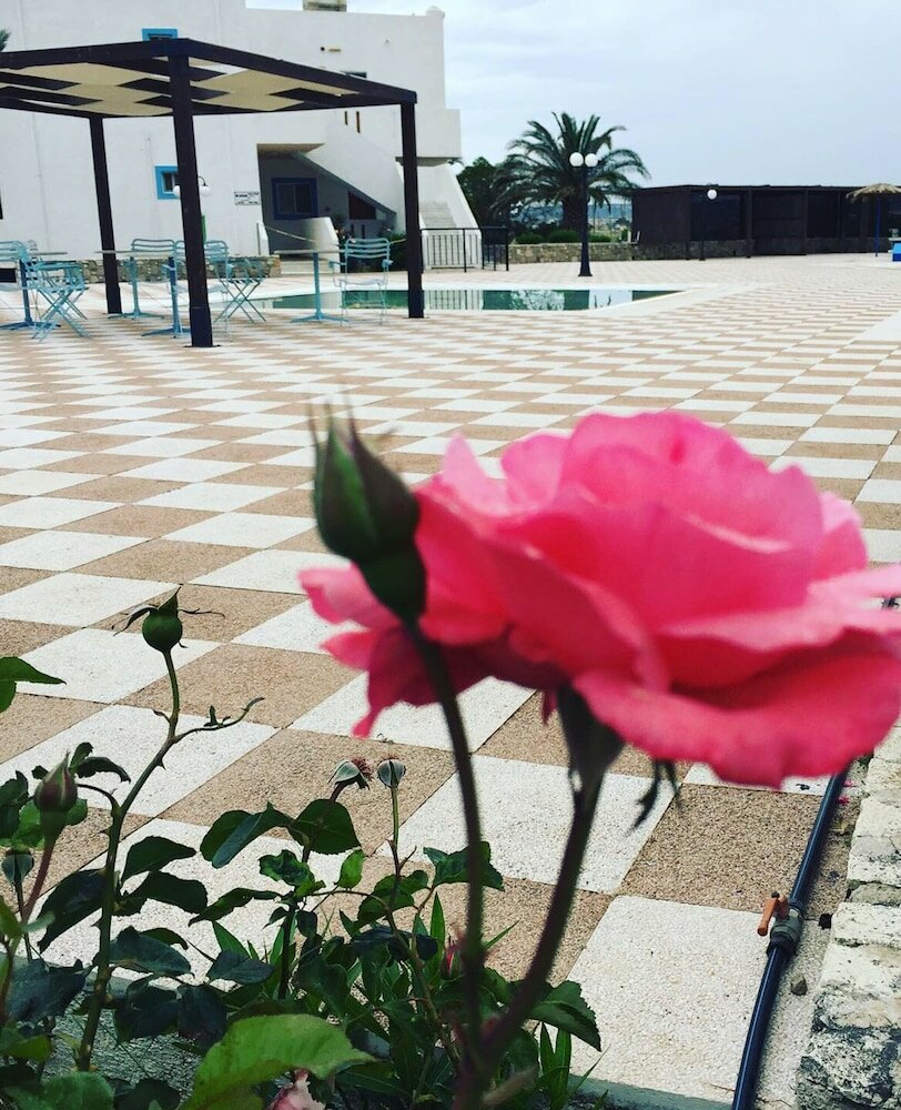 Фото Sweet Kalimera Apartments