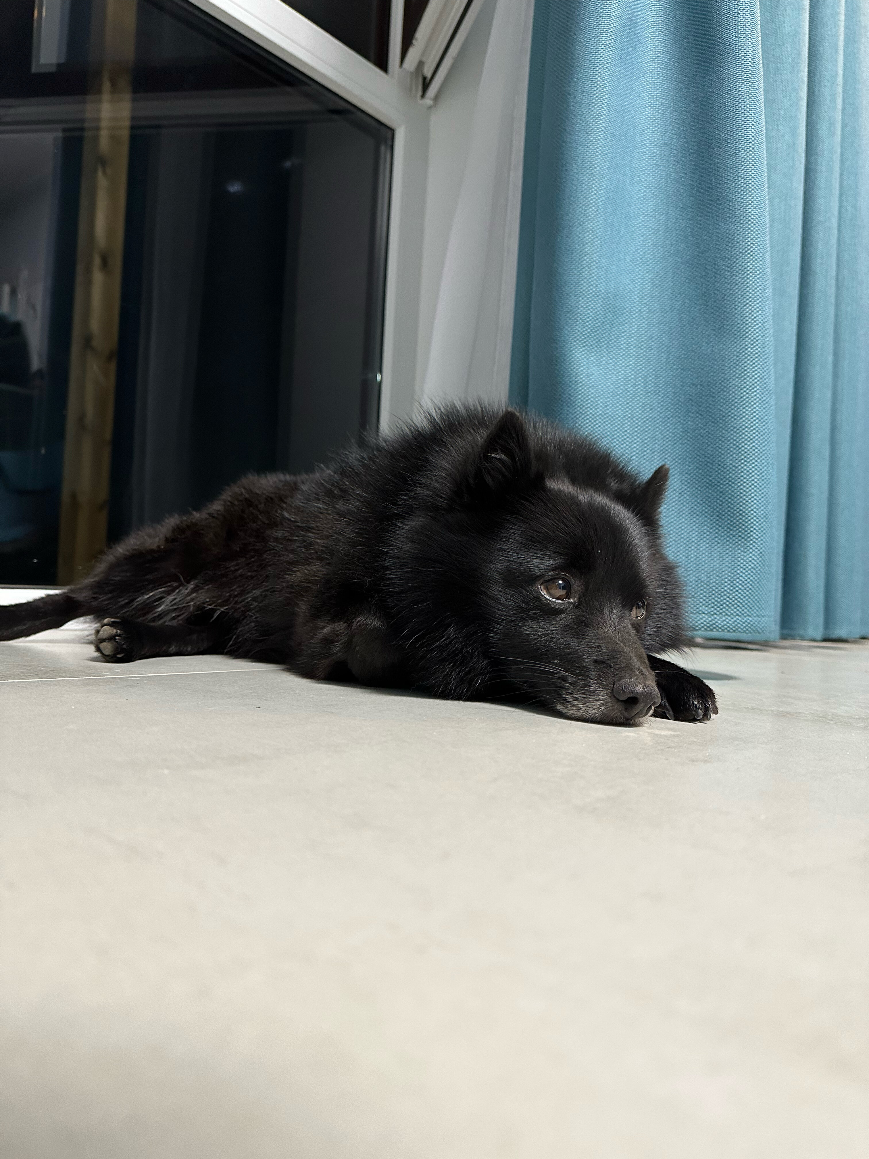 Фото Вилла Лазурит