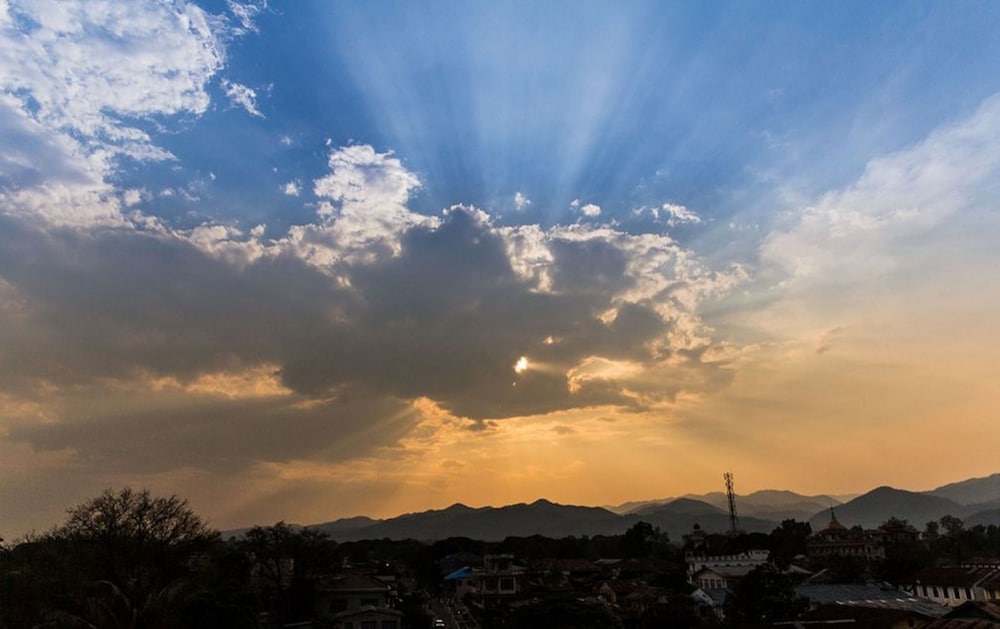 Фото Lily The Home