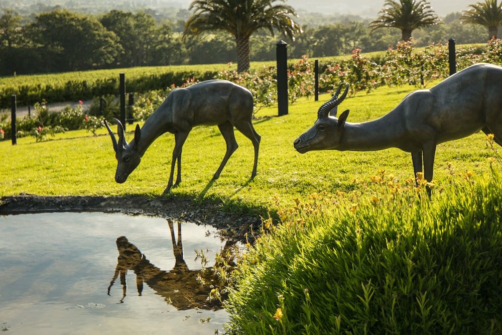 Фото Leeu Estates