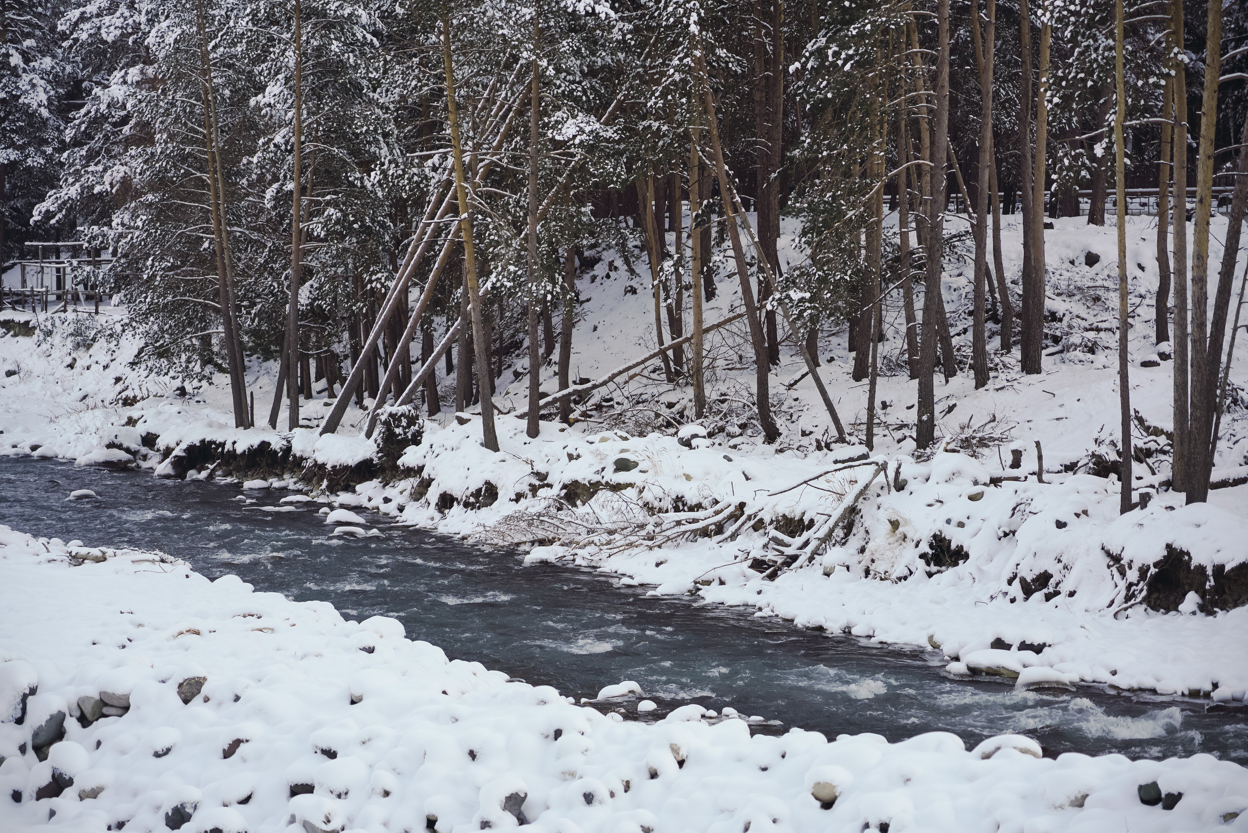 Фото Alpina House