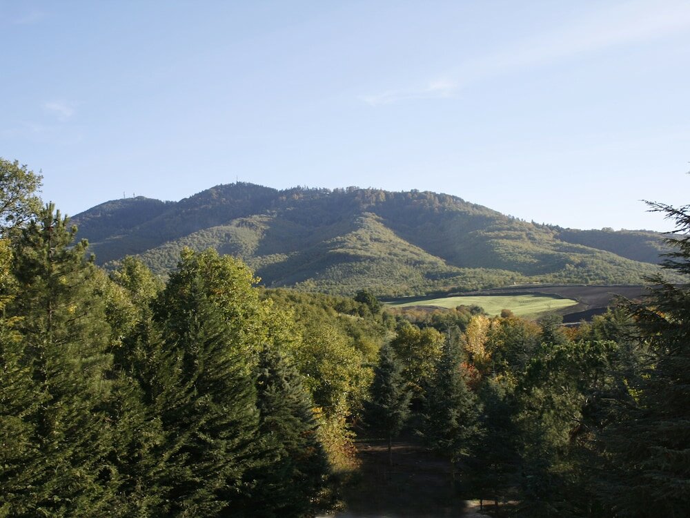 Фото Hotel Castagneto