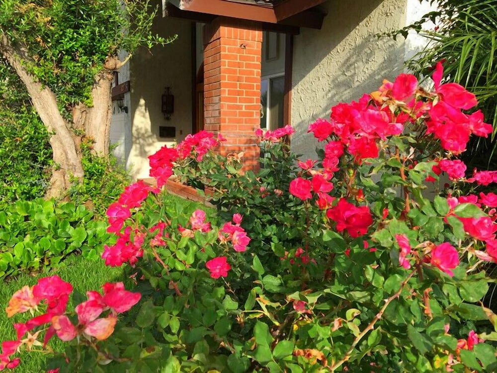 Фото Romantic and Luxury Disney Villa