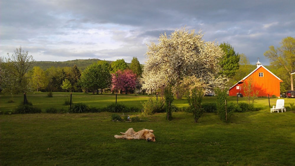 Фото Gîte TerreCiel