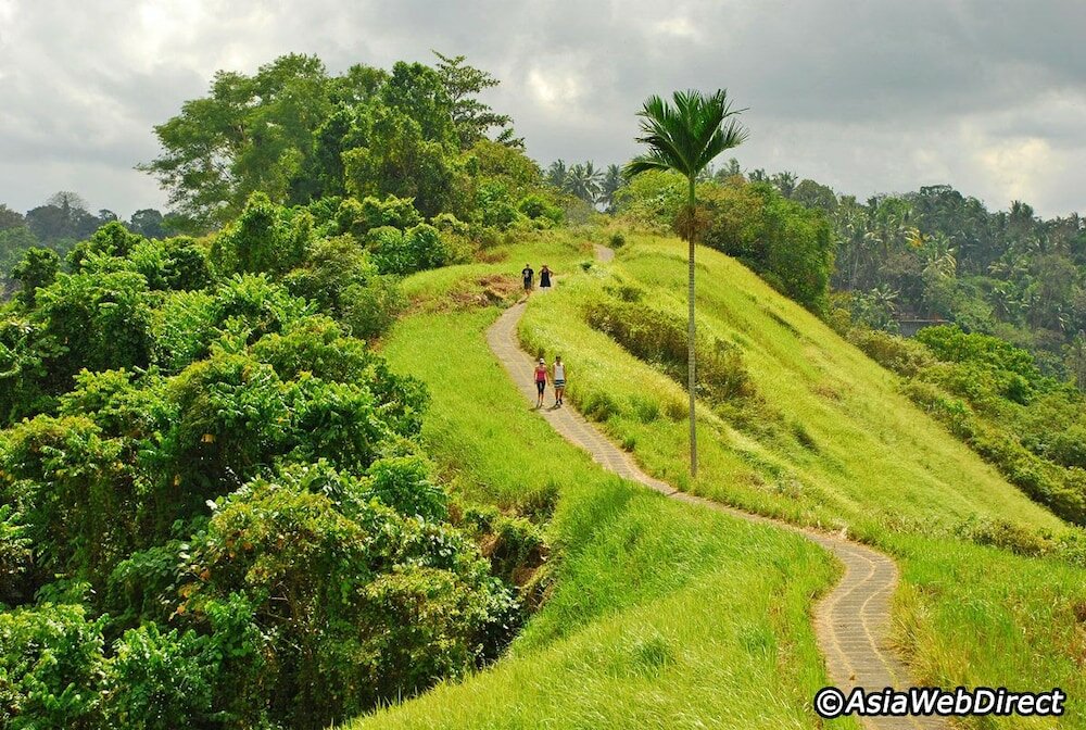 Фото The Mahogany Villa