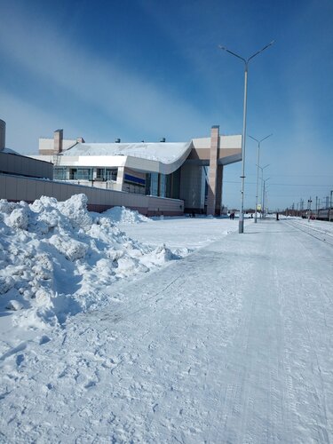 Қызды порнография қызықтырады